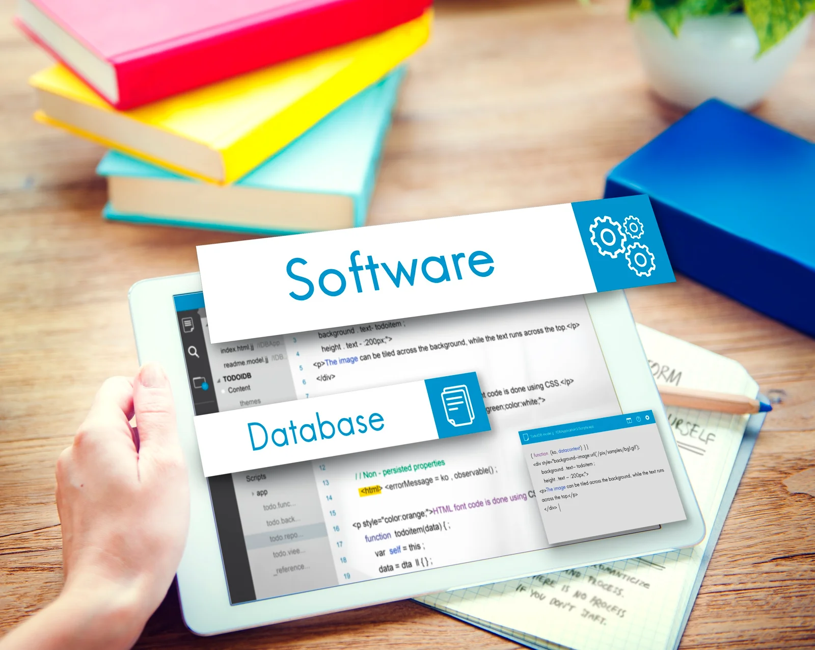 Web Development & Design